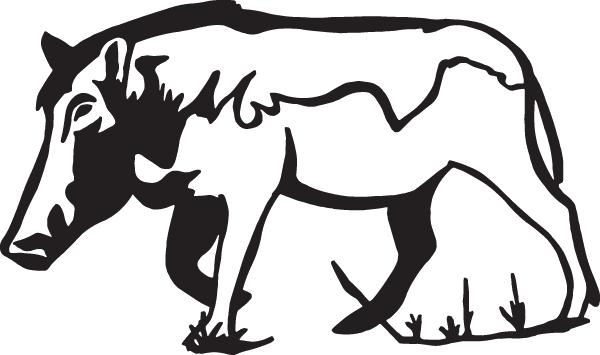 (image for) Wild Boar Decal