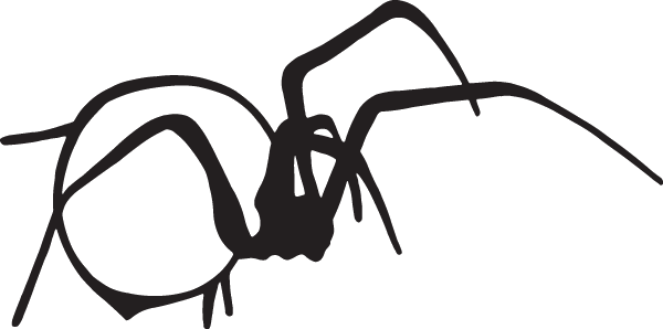 (image for) Spider decal