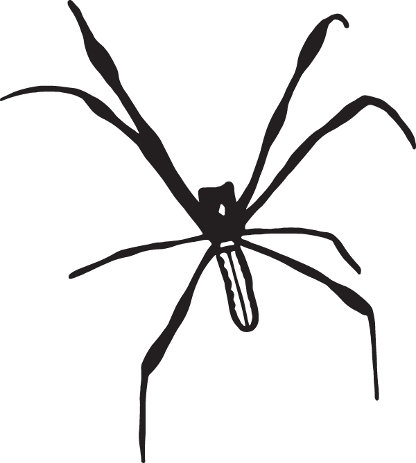 (image for) Water Spider decal