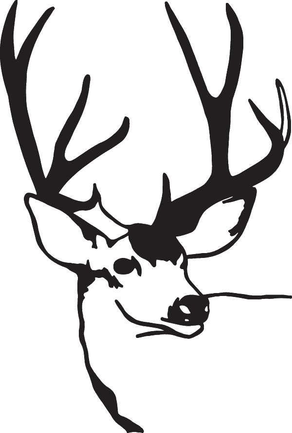 (image for) Buck Sticker
