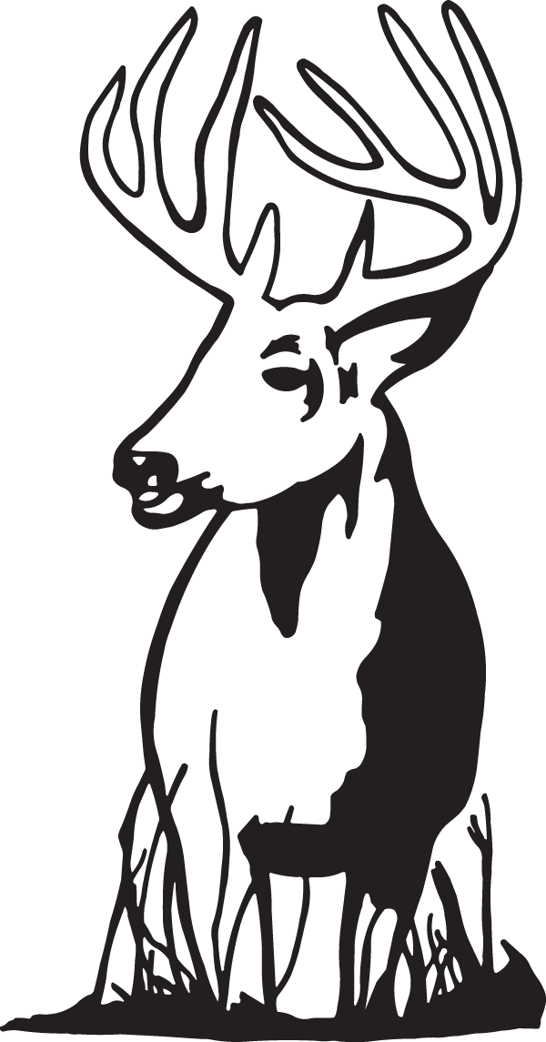 (image for) Stag Decal