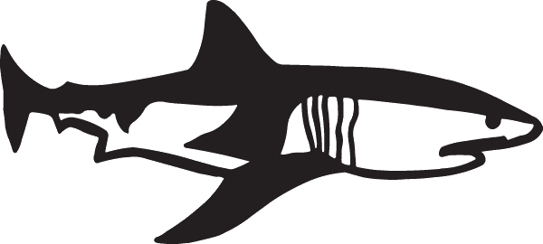 Great White Shark Decal : Decal City
