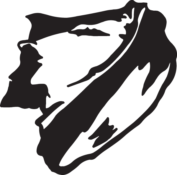 (image for) Obscure Conch Shell Decal