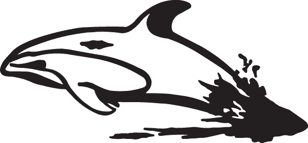 (image for) Dolphin Decal