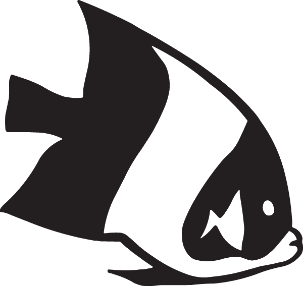 (image for) Bicolor Angelfish Decal