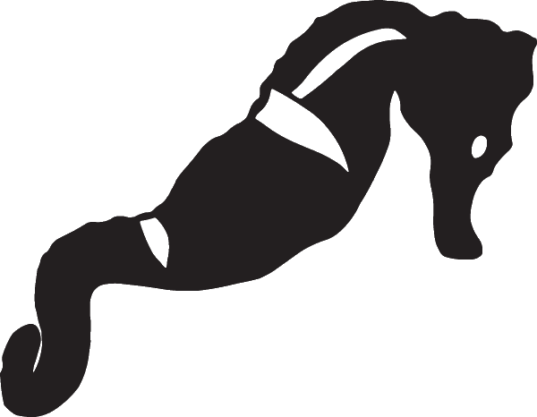 (image for) Sea Horse Decal
