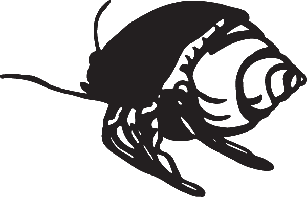 (image for) Hermit Crab Decal