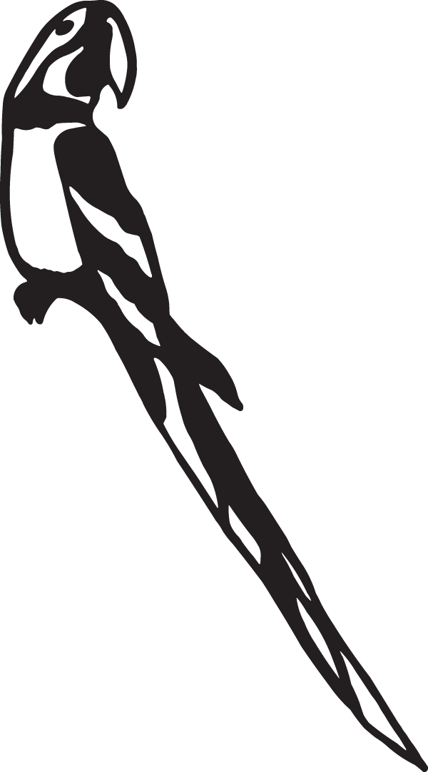 (image for) Parrot Decal
