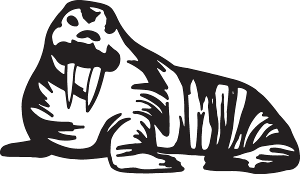 (image for) Walrus Decal