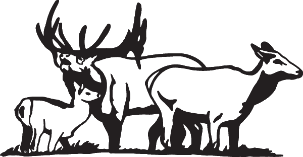 (image for) Elk Family Decal