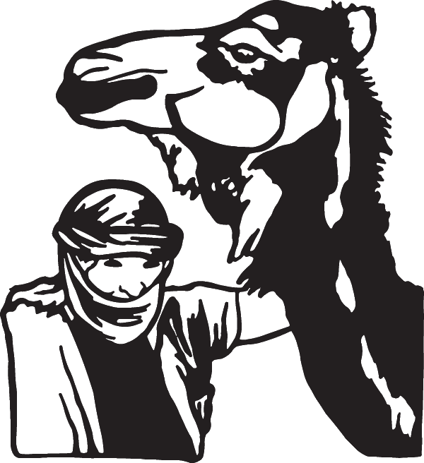 (image for) Camel Decal