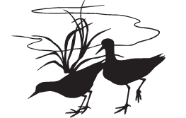 (image for) Marsh Birds Decal