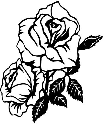 (image for) Roses Decal