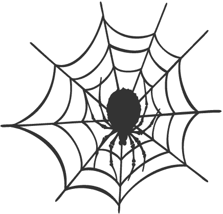 (image for) Spider Web Decal