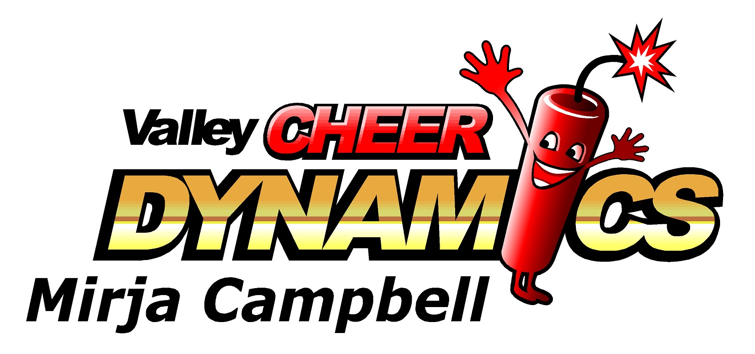 (image for) Valley Cheer Dynamics Decal