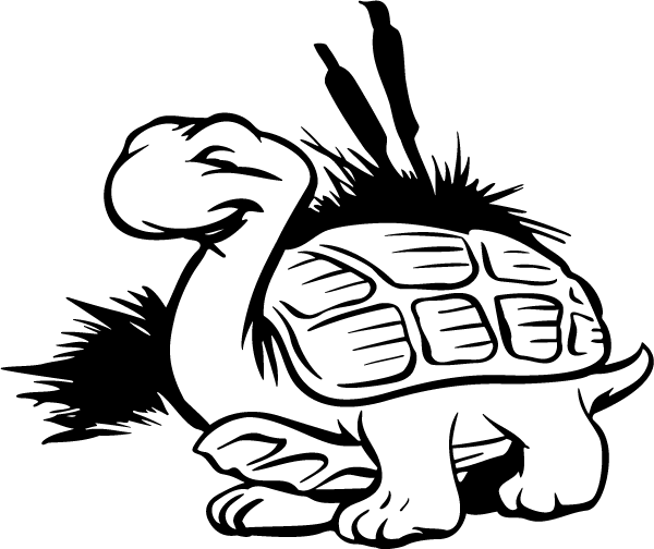 (image for) Happy Turtle Decal