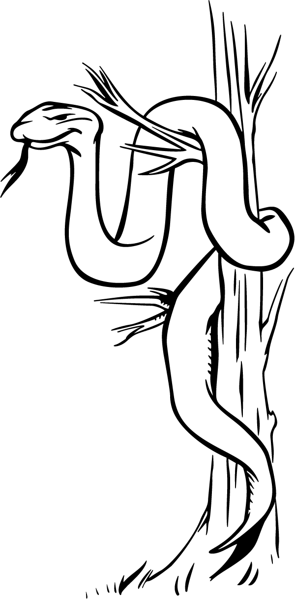 (image for) Anaconda Cartoon Decal