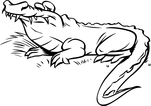 (image for) An Alligator Decal