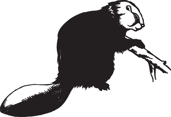 (image for) Beaver Standing Decal