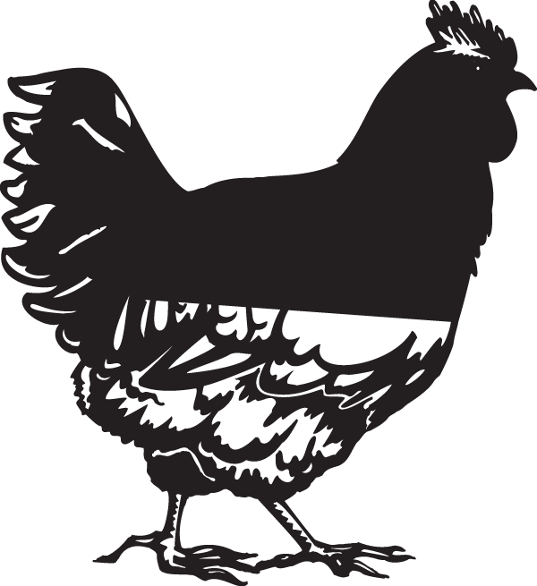 (image for) Fancy Hen Decal