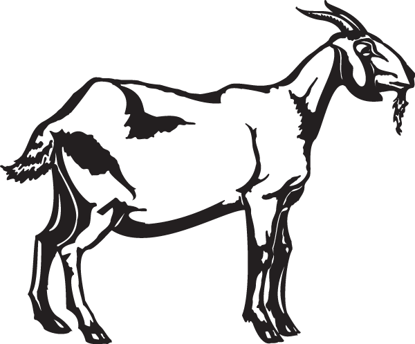 (image for) Goat Decal