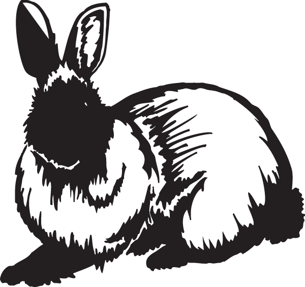 (image for) Rabbit Decal