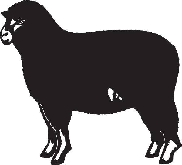 (image for) Sheep Decal