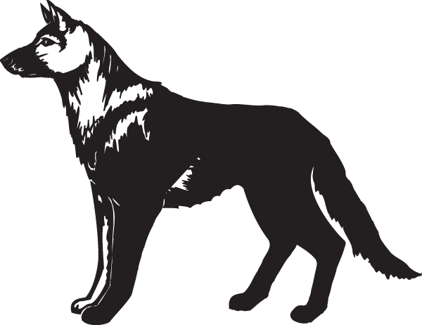 (image for) Belgian Malinois Decal