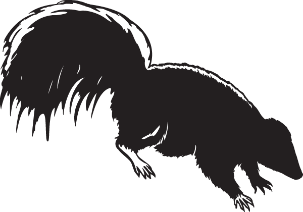 (image for) Skunk Decal