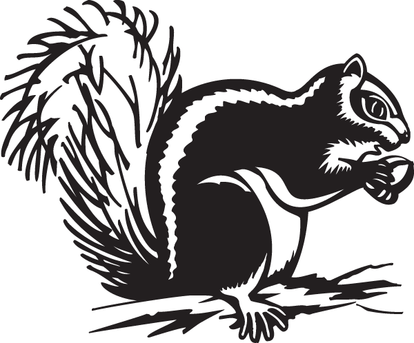 (image for) Large Squirrel Decal