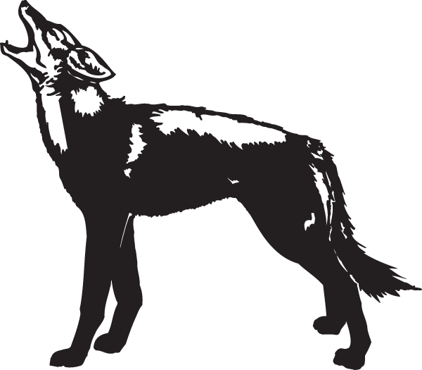 (image for) Coyote Howling Decal