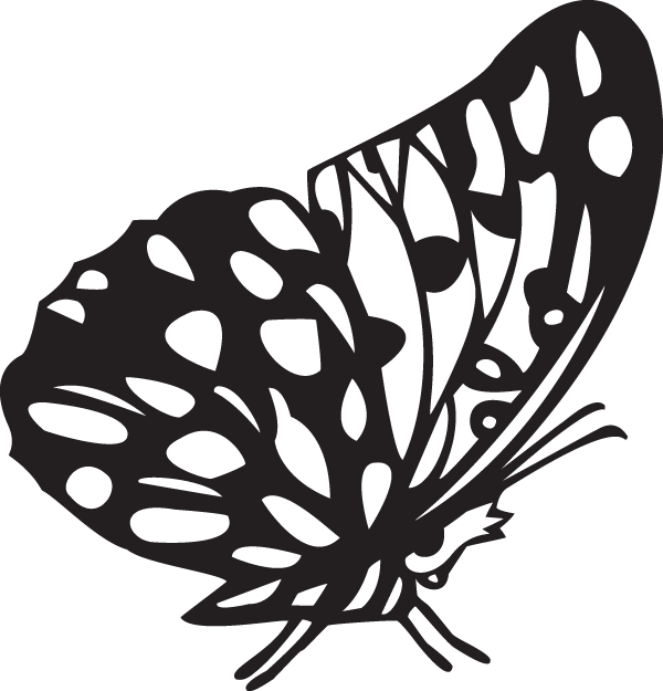 (image for) Butterfly sticker