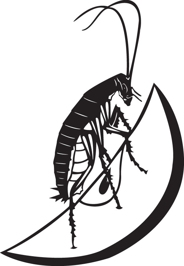 (image for) Cockroach
