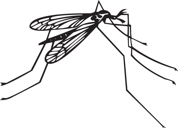 (image for) Mosquito