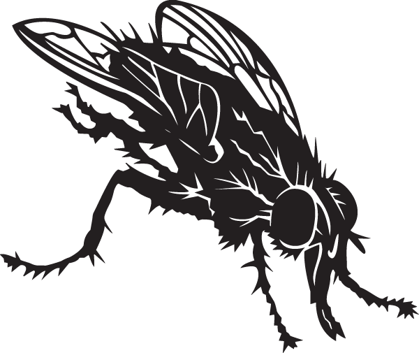 (image for) Housefly Decal