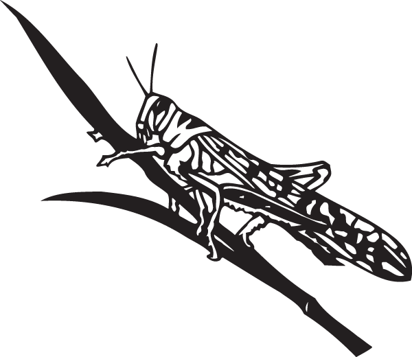(image for) Grasshopper sticker