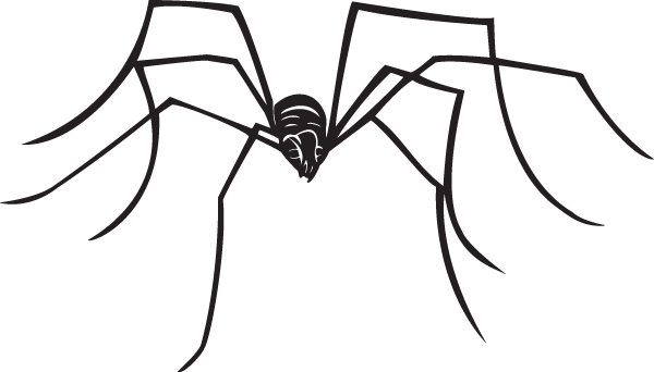 (image for) Daddylongleg Spider Sticker