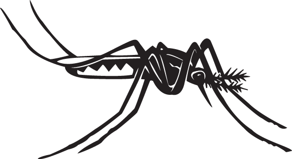 (image for) Mosquito decal