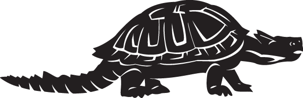 (image for) Dinosaur Turtle Decal