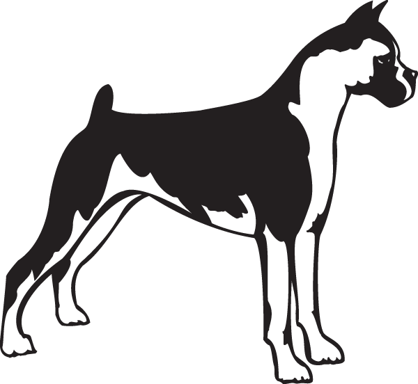 (image for) Perfect Boxer Stance Decal