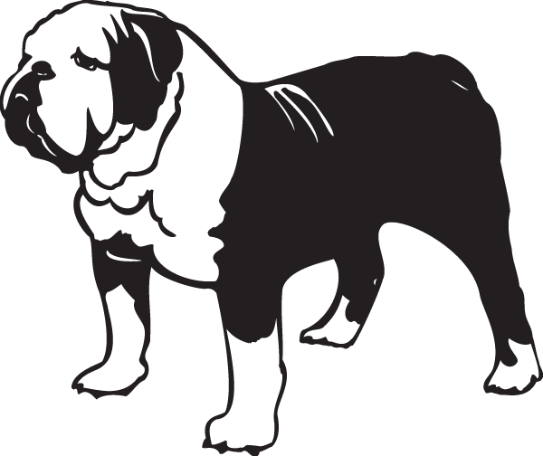 (image for) English Bulldog Decal