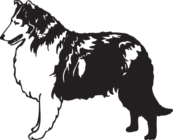 (image for) Collie Decal