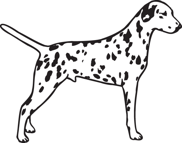 (image for) Dalmatian Stance Decal