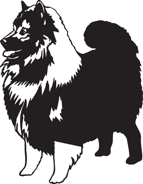 (image for) Keeshond Decal