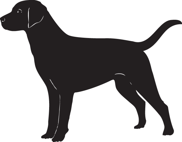 (image for) Labrador Retriever Decal