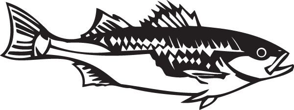 (image for) Red eyed characin Decal