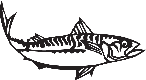 (image for) Mackerel Decal