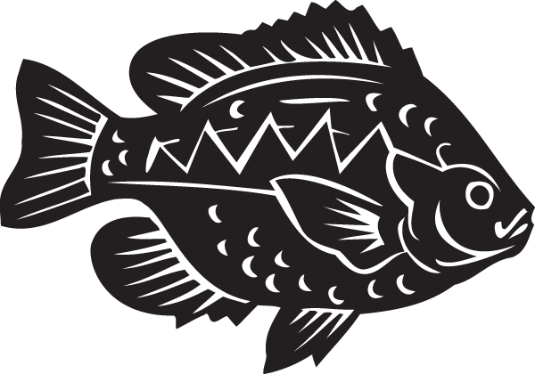 (image for) Scatophagus argus Decal