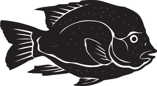 (image for) Salt Water Fish Decal