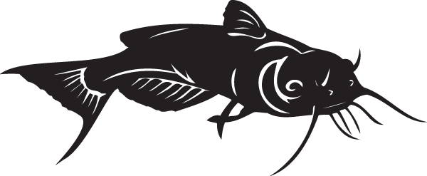 (image for) Black Bullhead Catfish